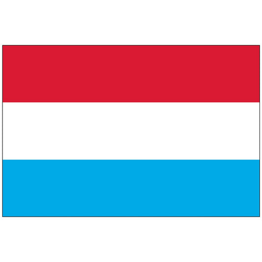 Luxembourg consolidation service (tax included, fixed price)